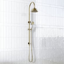 Clementine Brass Twin Shower